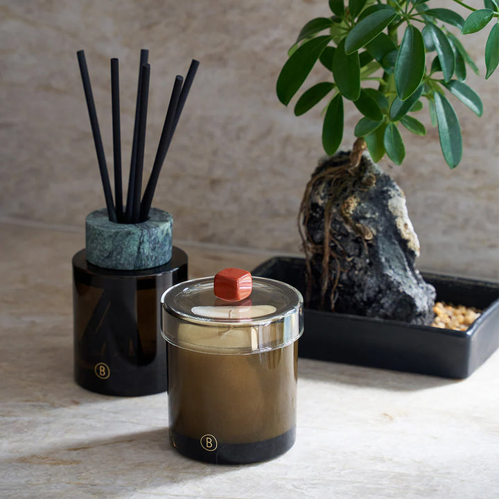 BLACK BLAZE Bush Walk Reed Diffuser, Black