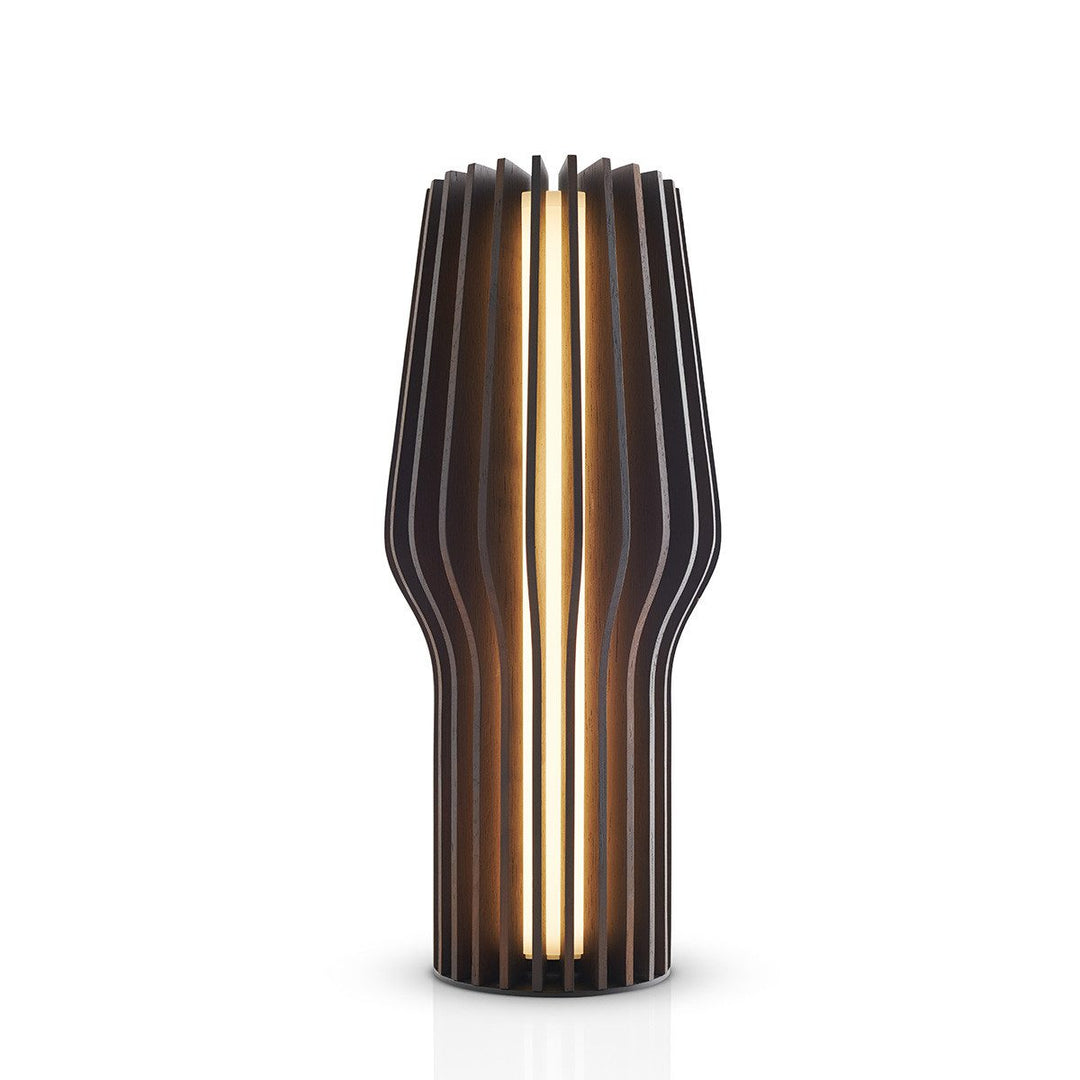 EVA SOLO Radiant Rechargable Table Lamp, Smoked