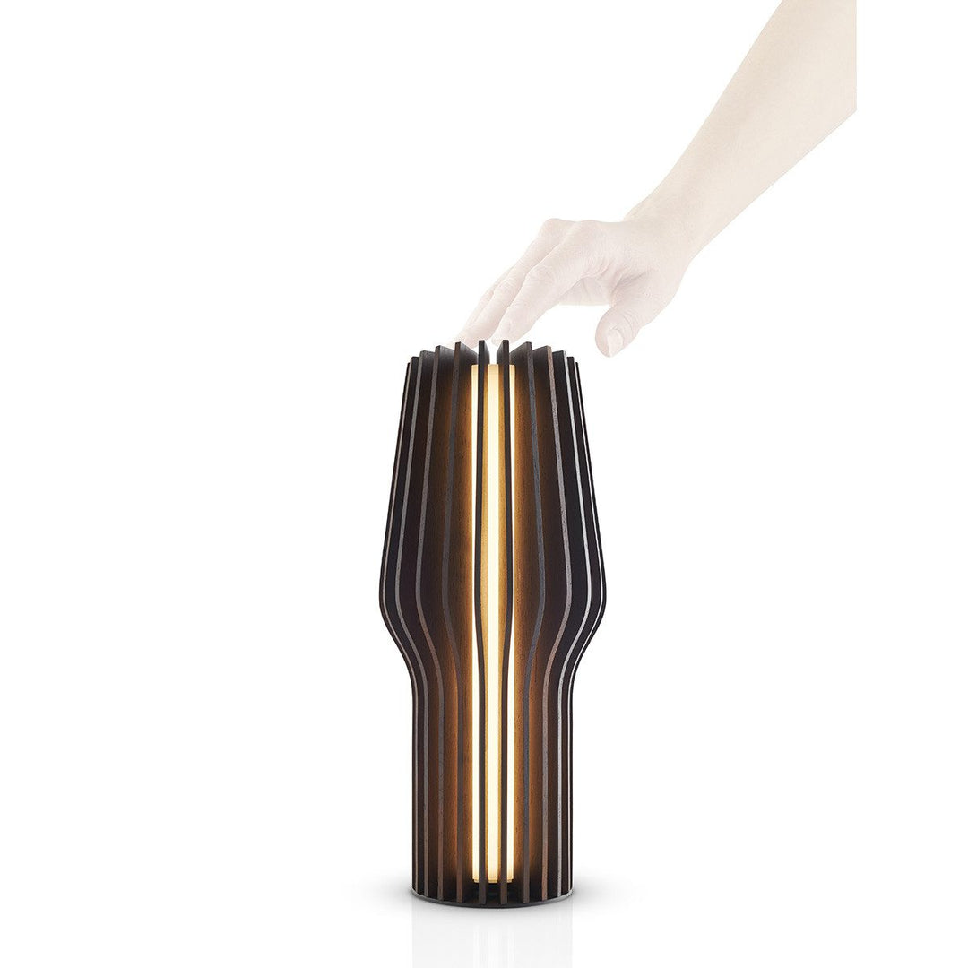 EVA SOLO Radiant Rechargable Table Lamp, Smoked