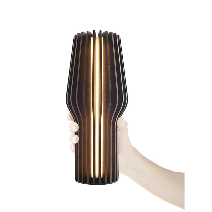 EVA SOLO Radiant Rechargable Table Lamp, Smoked