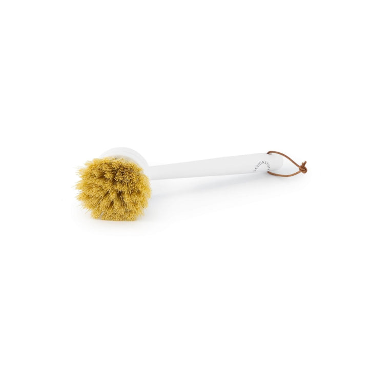 DESIGNSTUFF Eco Dish Brush, White