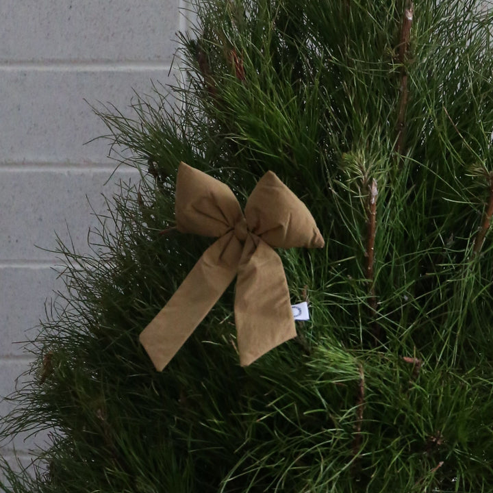 DESIGNSTUFF LUVA Bow w/ Tree Clip, Fern