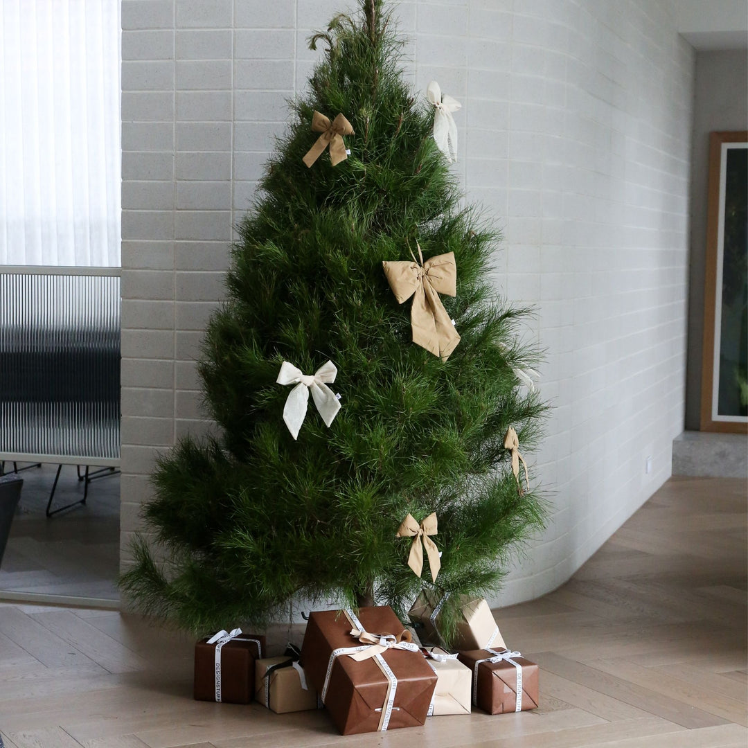 DESIGNSTUFF LUVA Bow w/ Tree Clip, Fern