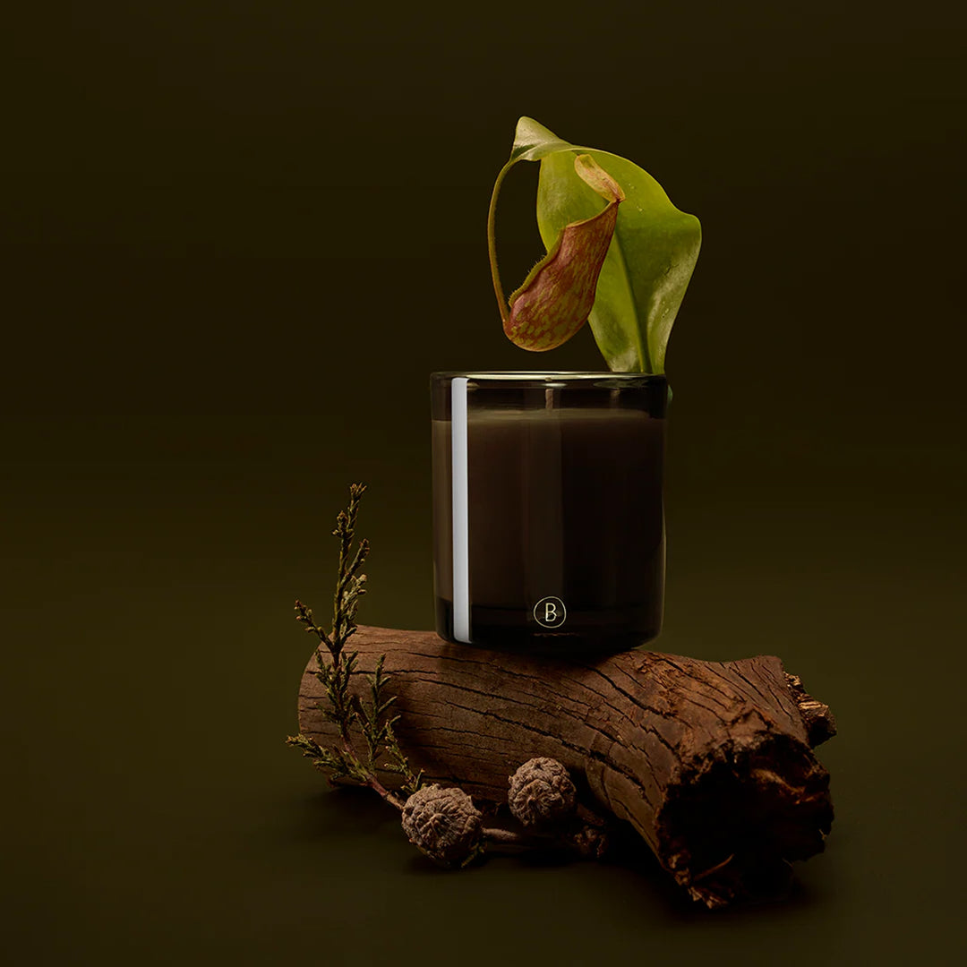 BLACK BLAZE Bush Walk Scented Candle