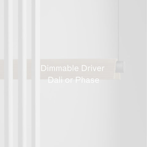 PRE-ORDER | SOUTH DRAWN Dimmable Driver Dali or Phase