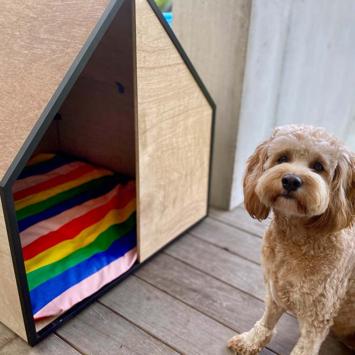 PRE-ORDER │ MADE BY PEN The Dog Room Kennel, Plywood