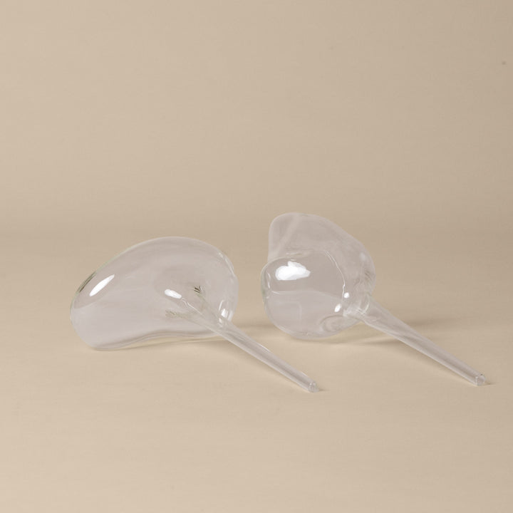 FERM LIVING Mercury Plant Water Globes, Clear (Set of 2)