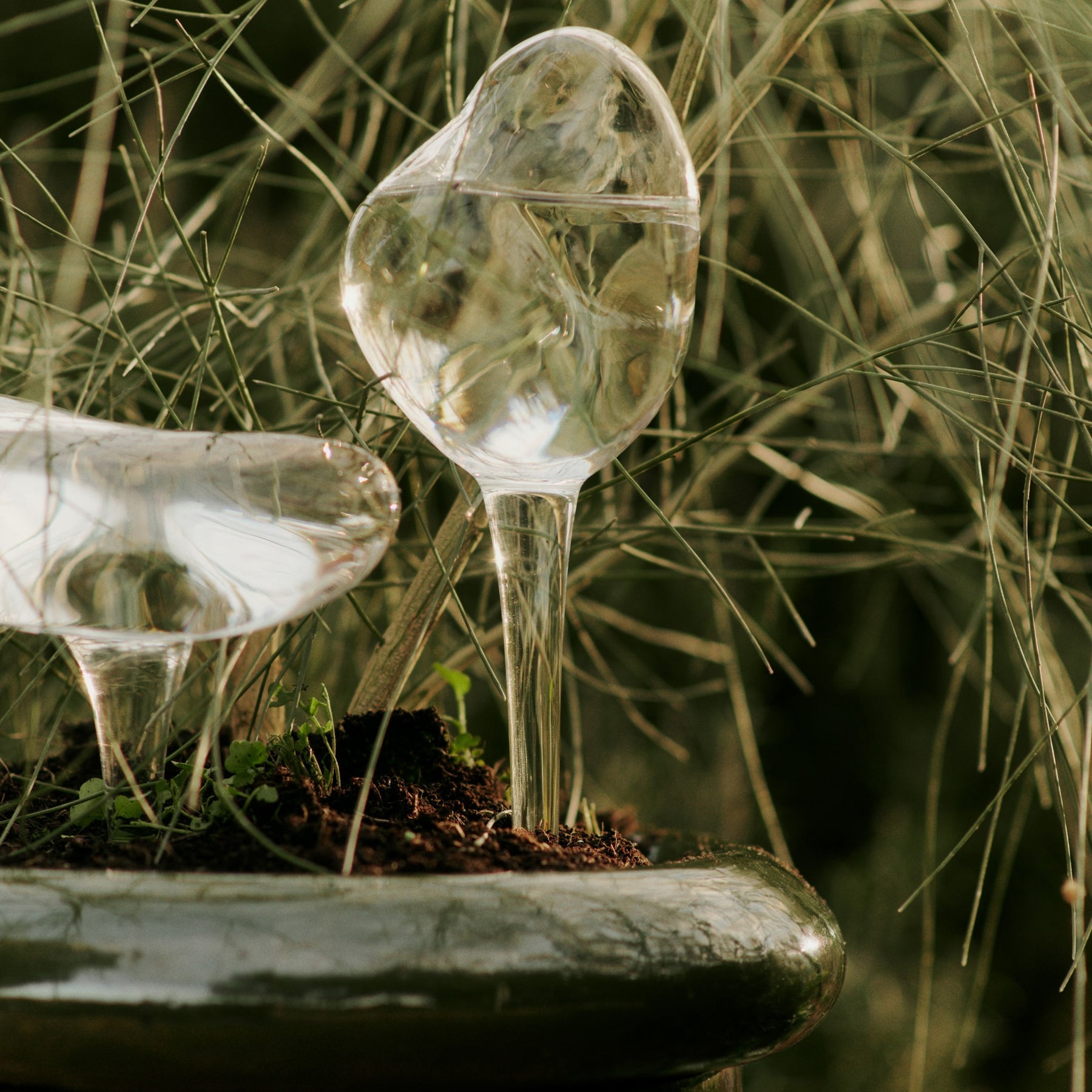 self watering plant glass birds FERM LIVING Mercury Plant Water Globes, Clear (Set of 2)