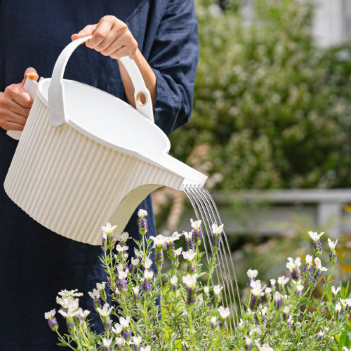 HACHIMAN-KASEI Garden Beetle Watering Can, Large 5L, White