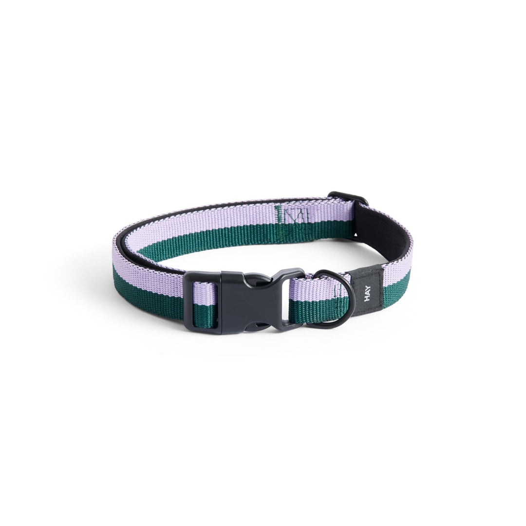 HAY Dog Collar, M/L, Lavender/Green