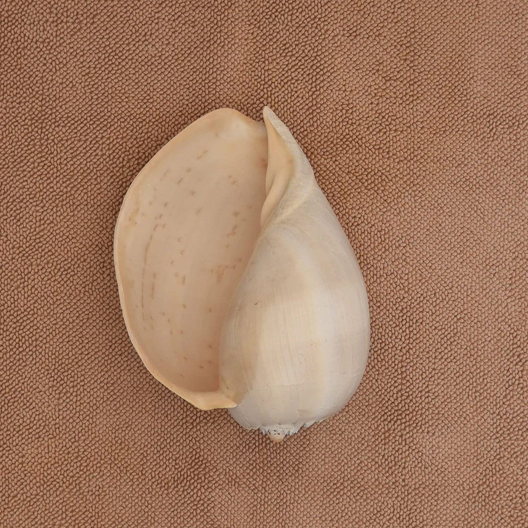 KØBN Bath Mat, 55x85cm, Tahini