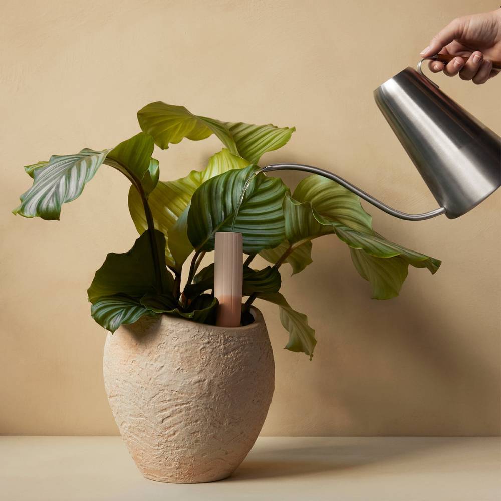 AUDO CPH (ex MENU) Hydrous Watering Can, Steel, H20cm