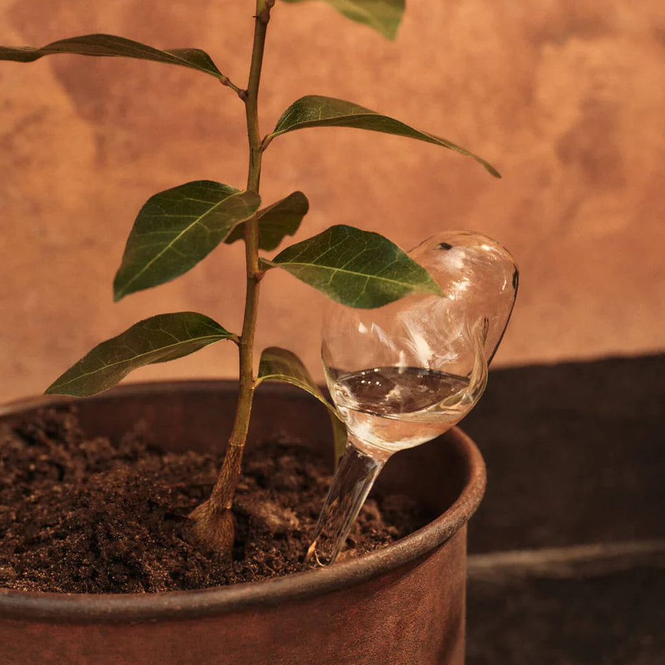 FERM LIVING Mercury Water Globes, Small, Clear (Set of 2)
