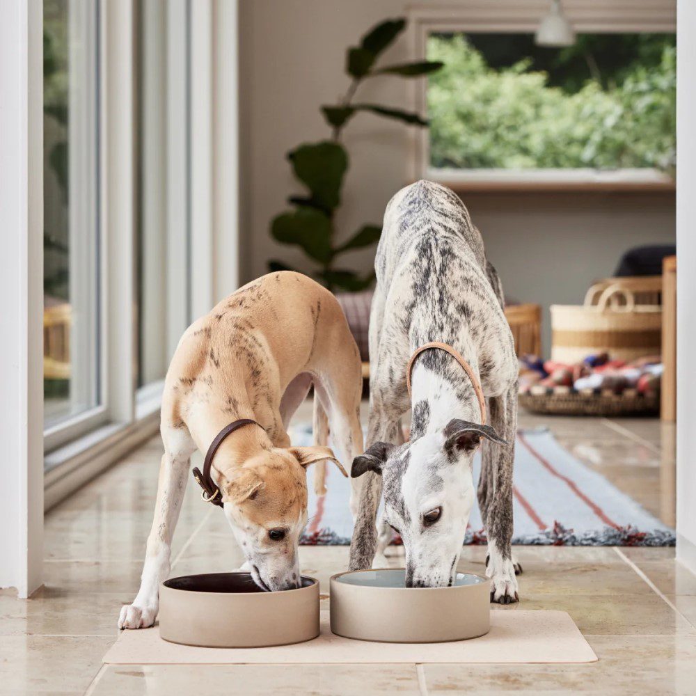 Two dogs each eating in two different bowls placed in a single mat.