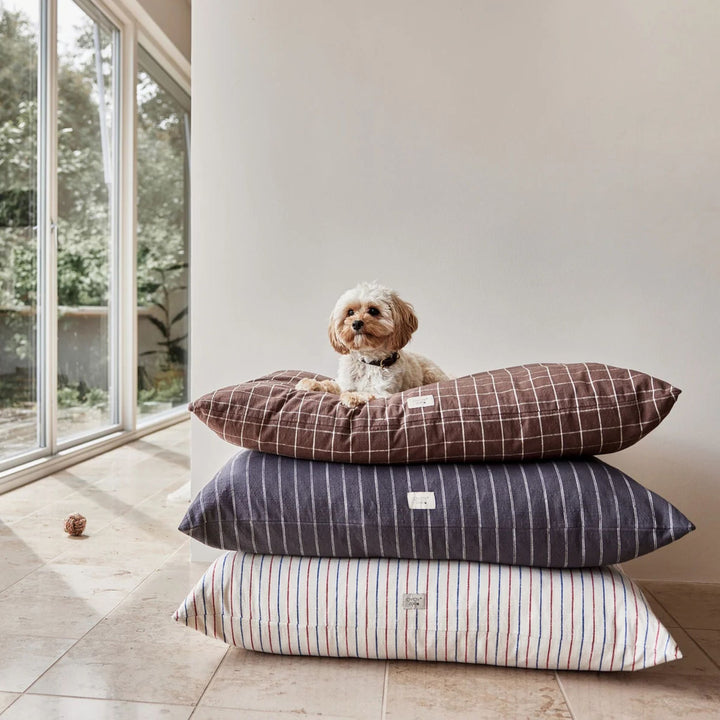 OYOY ZOO Kyoto Dog Cushion, Anthracite (2 Sizes)