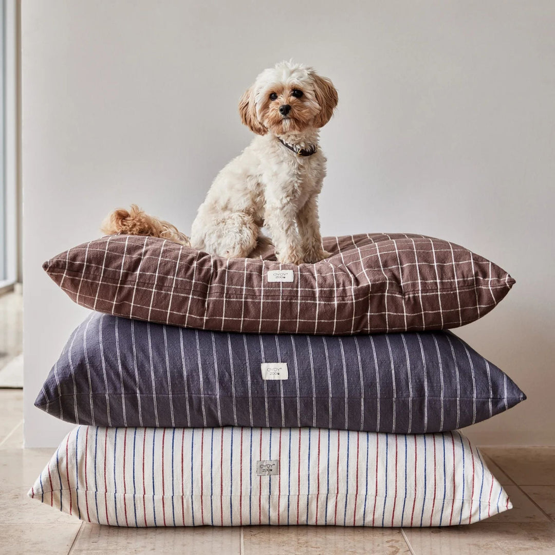 OYOY ZOO Kyoto Dog Cushion, Anthracite (2 Sizes)