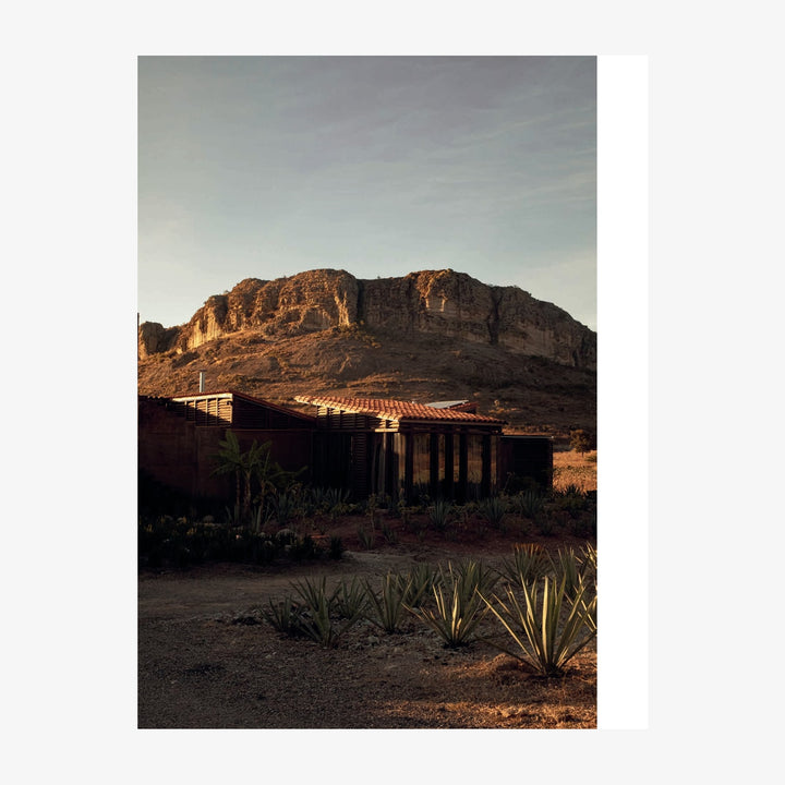 The World's Best Nature and Design Coffee Table Book