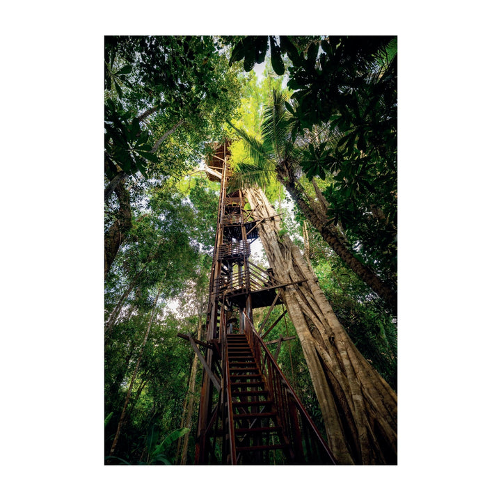 The World's Best Nature and Design Coffee Table Book