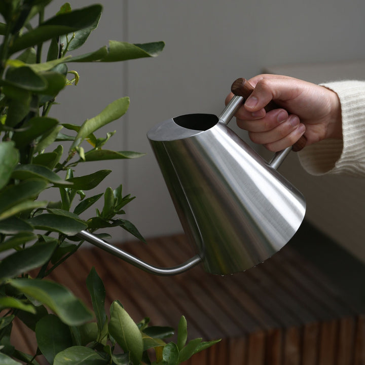 DESIGNSTUFF Watering Can 1.3L, Stainless Steel/Stained Wood Handle