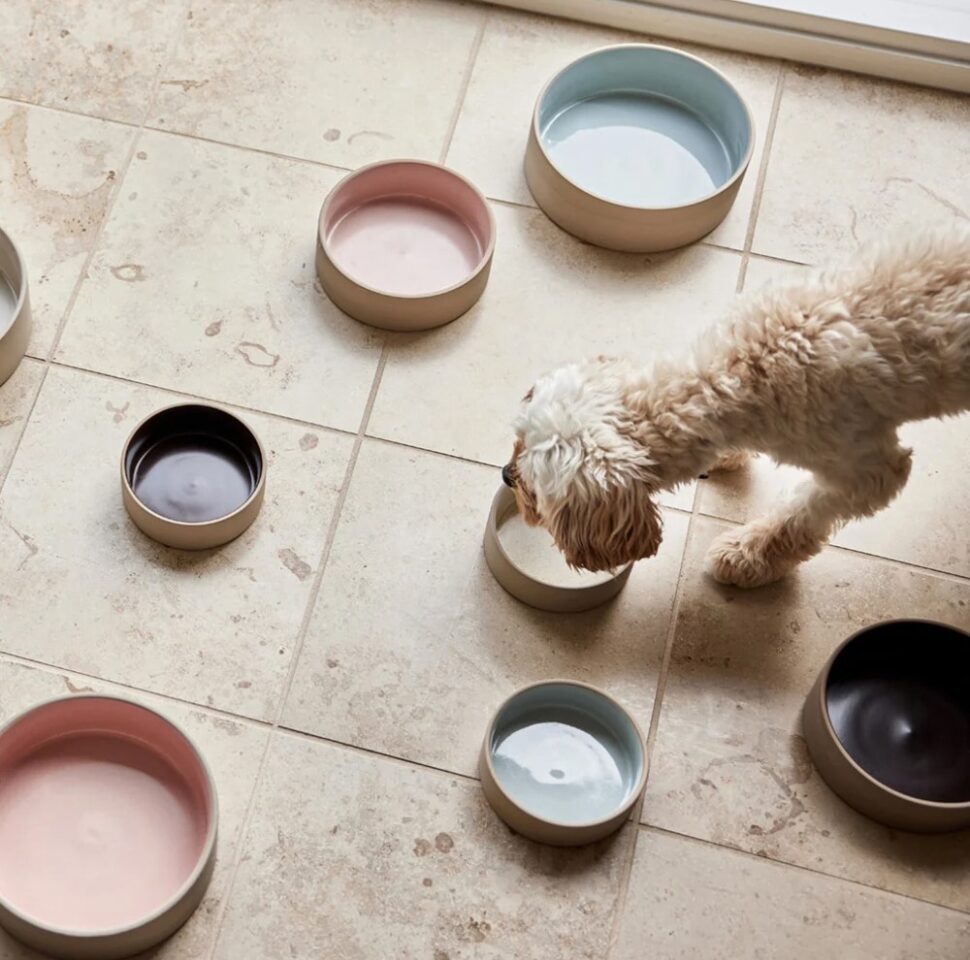 Sia Ceramic Silicone Feeding Pet Food Bowls